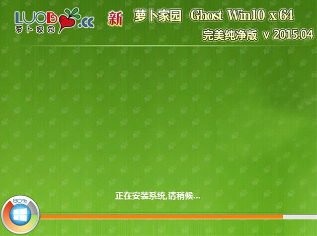 u盘启动大师安装萝卜家园win10系统教程